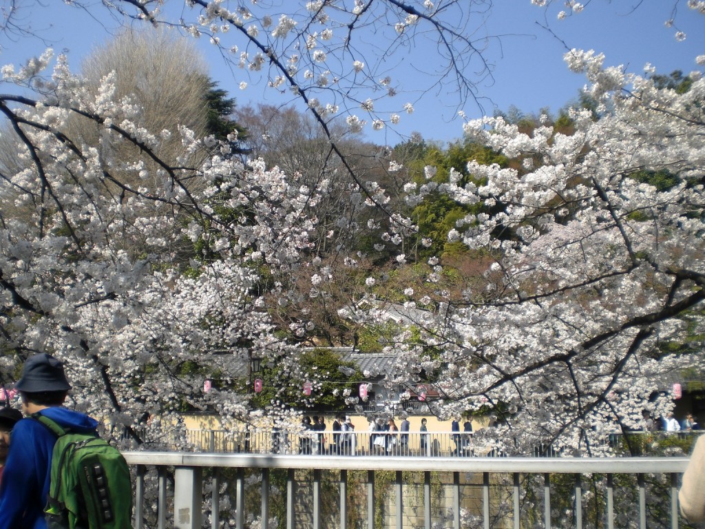 江戸川橋1